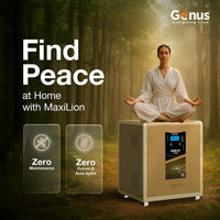 MaxiLion 2400VA Inverter with Integrated 2560WH Lithium-Ion Battery for Home